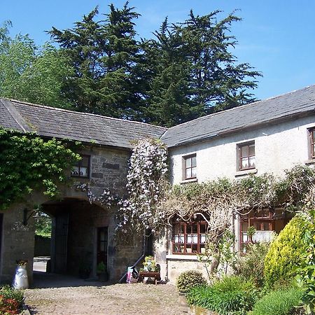 Ballinacourty House B&B Типерари Екстериор снимка