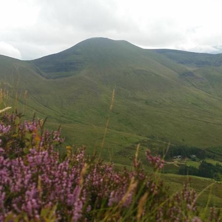 Ballinacourty House B&B Типерари Екстериор снимка