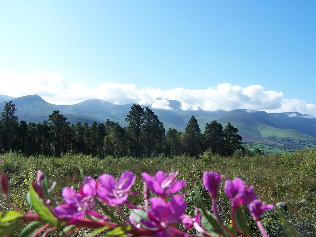 Ballinacourty House B&B Типерари Екстериор снимка