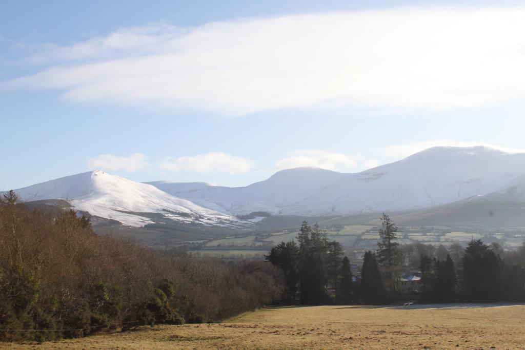 Ballinacourty House B&B Типерари Екстериор снимка