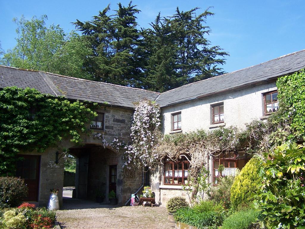 Ballinacourty House B&B Типерари Екстериор снимка