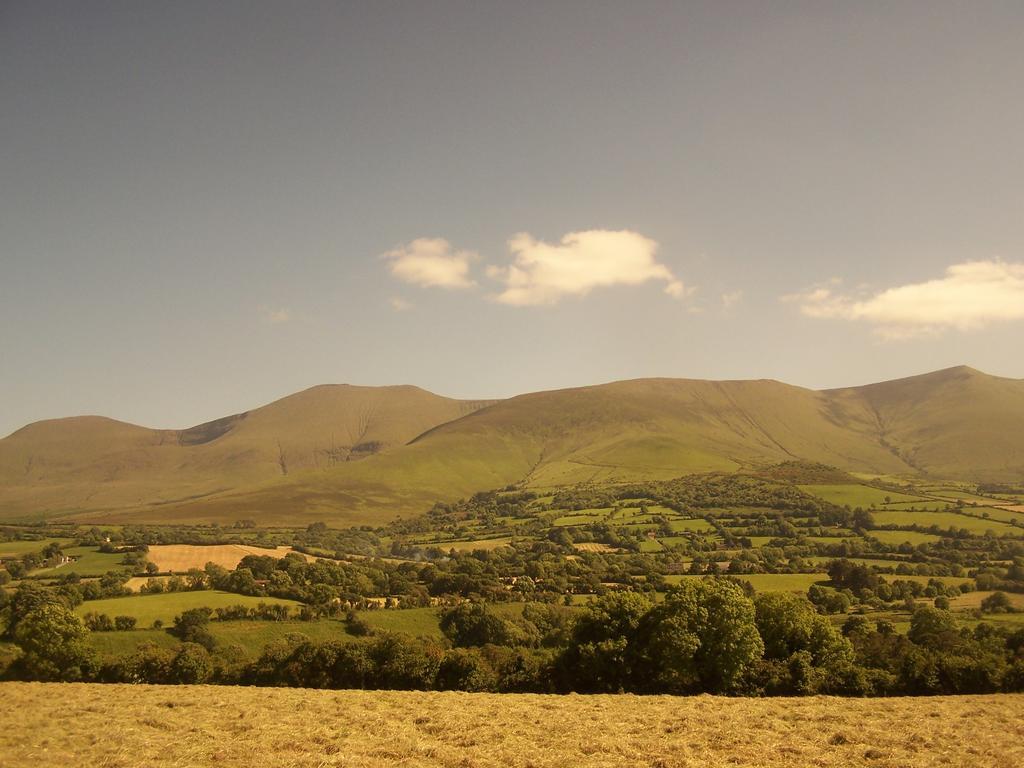 Ballinacourty House B&B Типерари Екстериор снимка