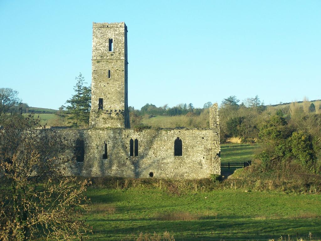 Ballinacourty House B&B Типерари Екстериор снимка