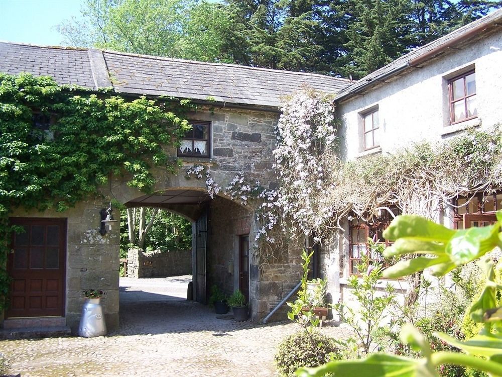 Ballinacourty House B&B Типерари Екстериор снимка