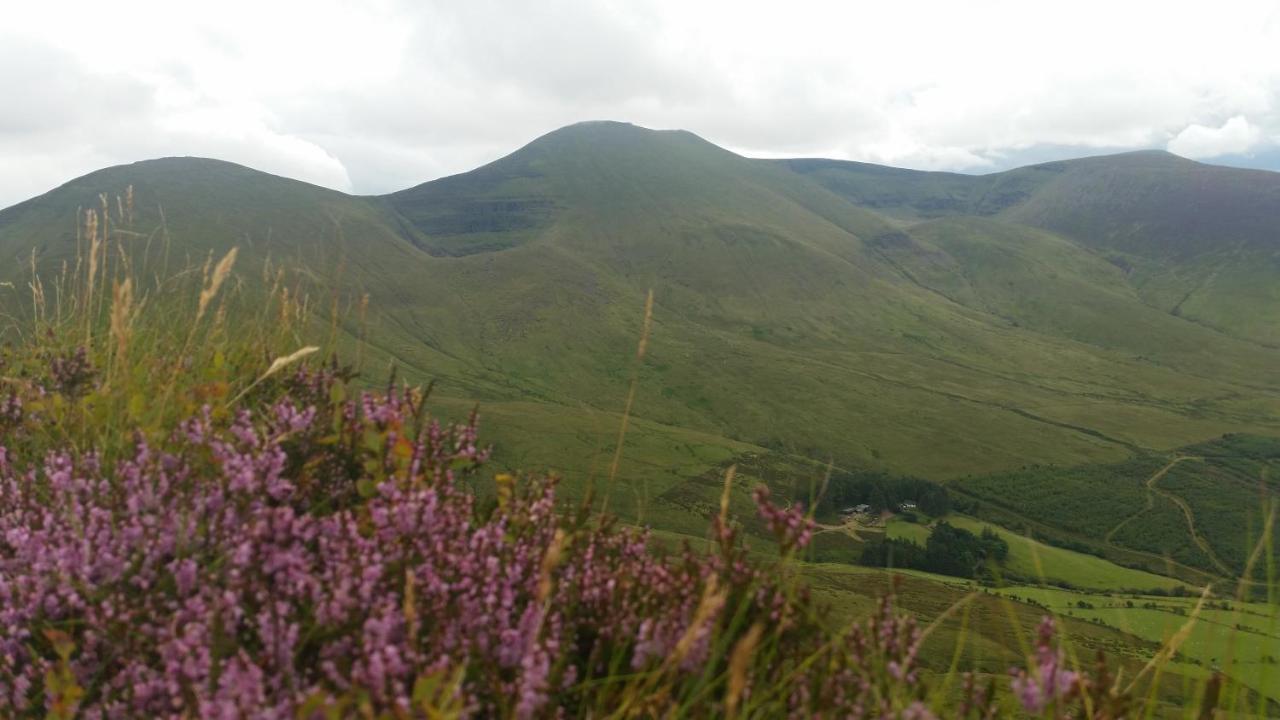 Ballinacourty House B&B Типерари Екстериор снимка
